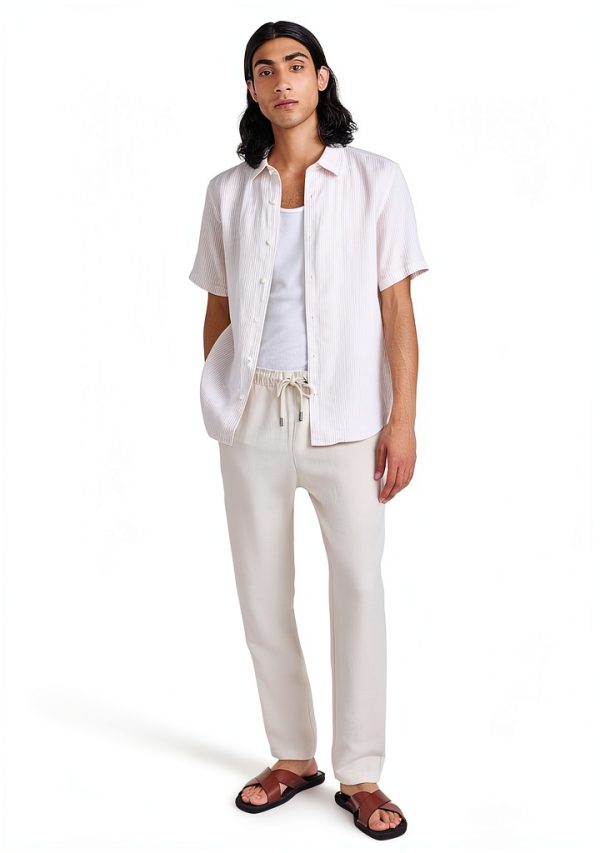 Theory Mens Linen Shirt Lightweight Stripe Short Sleeve-4