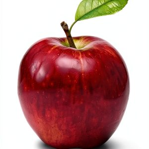 Beginnings Literary Theory Book Manchester University Press-0