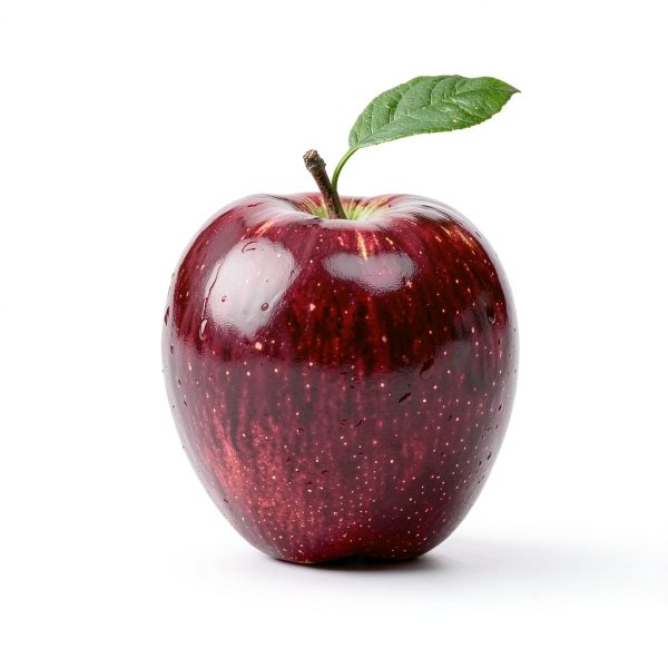 Pavo Monitor Arm Ergonomic Adjustable Desk Mount-0