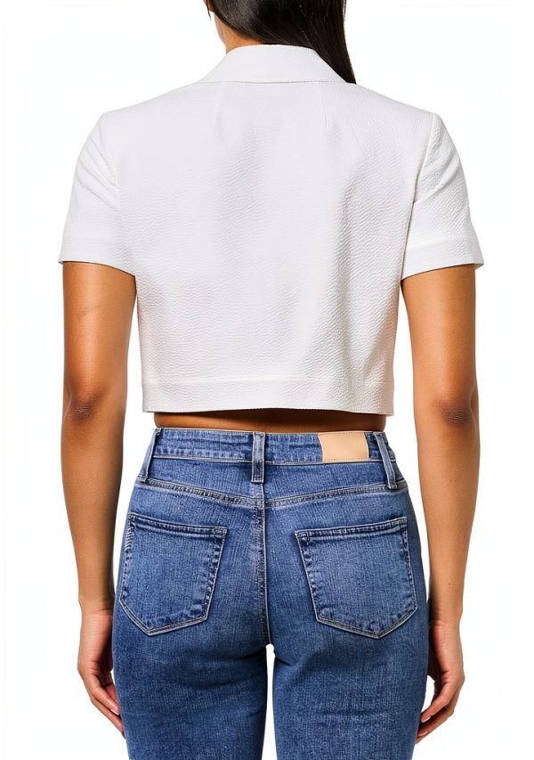 Theory Womens Suit Shirt Cropped Short Sleeve Button Pocket-1