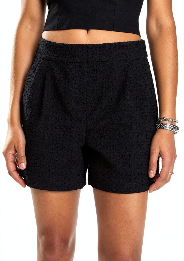 Theory Womens Embroidery Shorts Double Pleat Front Detail-1